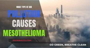 Unveiling the Link: Air Pollution and Mesothelioma