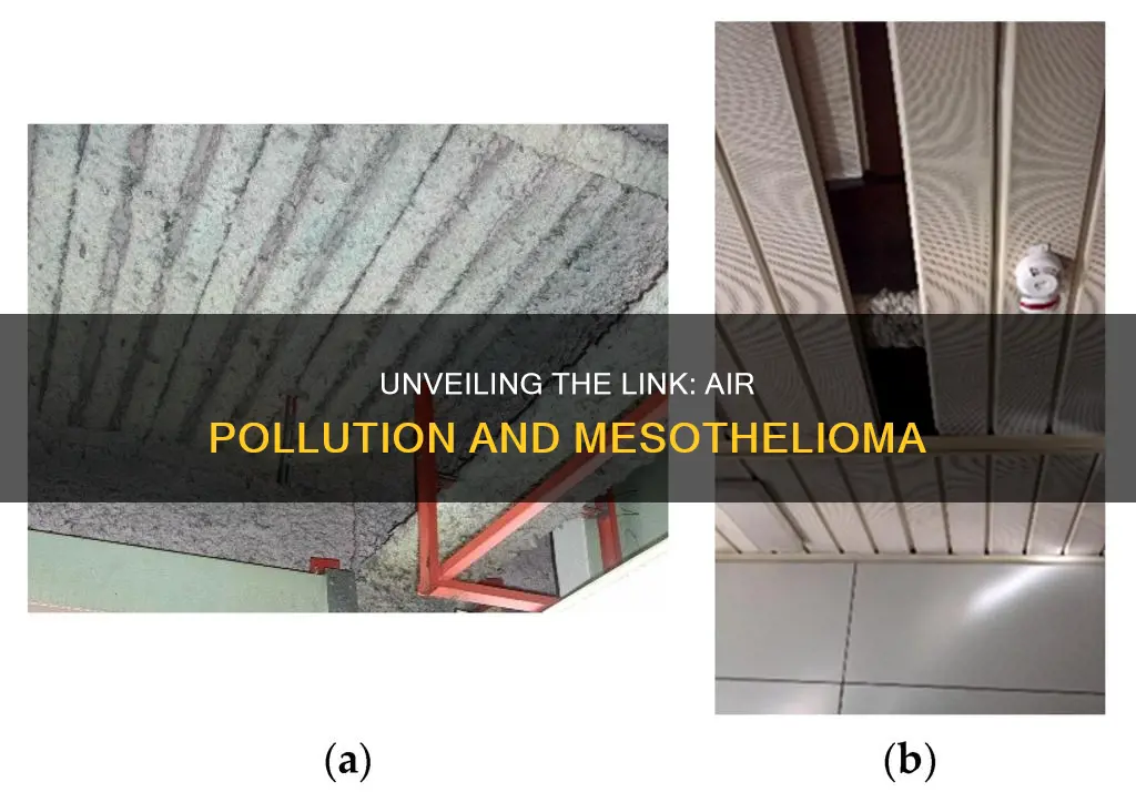 what type of air pollution causes mesothelioma