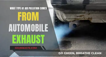 Automobile Exhaust: Understanding Air Pollution Sources