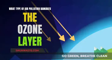 Air Pollution: Ozone Layer's Enemy