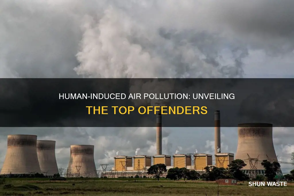 what type of air pollution do humans cause the most