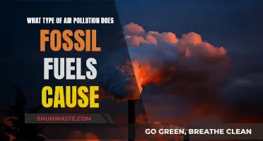 Unveiling Fossil Fuels' Impact: Air Pollution Types Explained