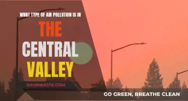 Air Pollution in California's Central Valley: Understanding the Crisis