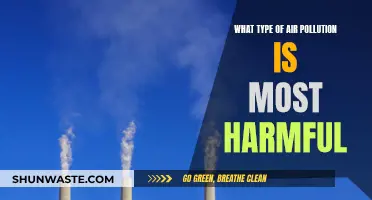 Air Pollution: Most Harmful Types Revealed