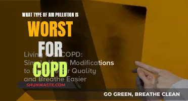 Air Pollution: Understanding COPD's Worst Enemies