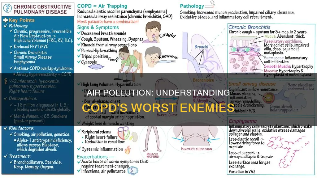 what type of air pollution is worst for copd