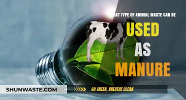From Waste to Wealth: Exploring Animal Byproducts as Fertilizers