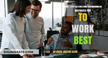 Cultivating Productivity: Discovering Your Ideal Work Culture Environment