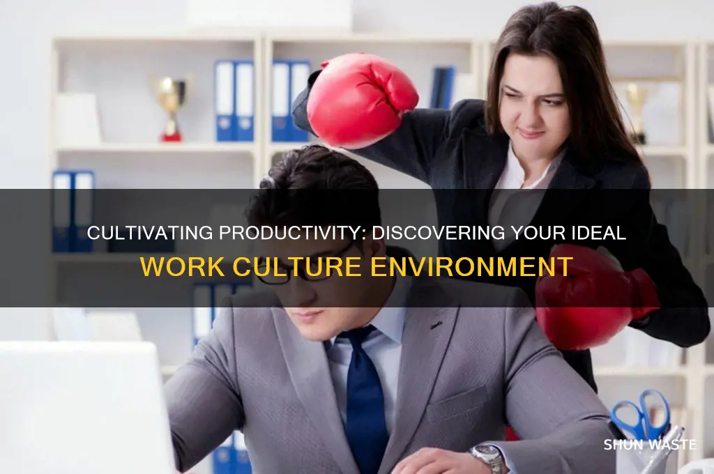 what type of culture environment motivates you to work best