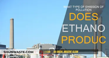 Ethanol's Emissions: Pollution or Solution?