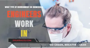 Exploring Biomedical Engineers' Diverse Work Environments and Settings