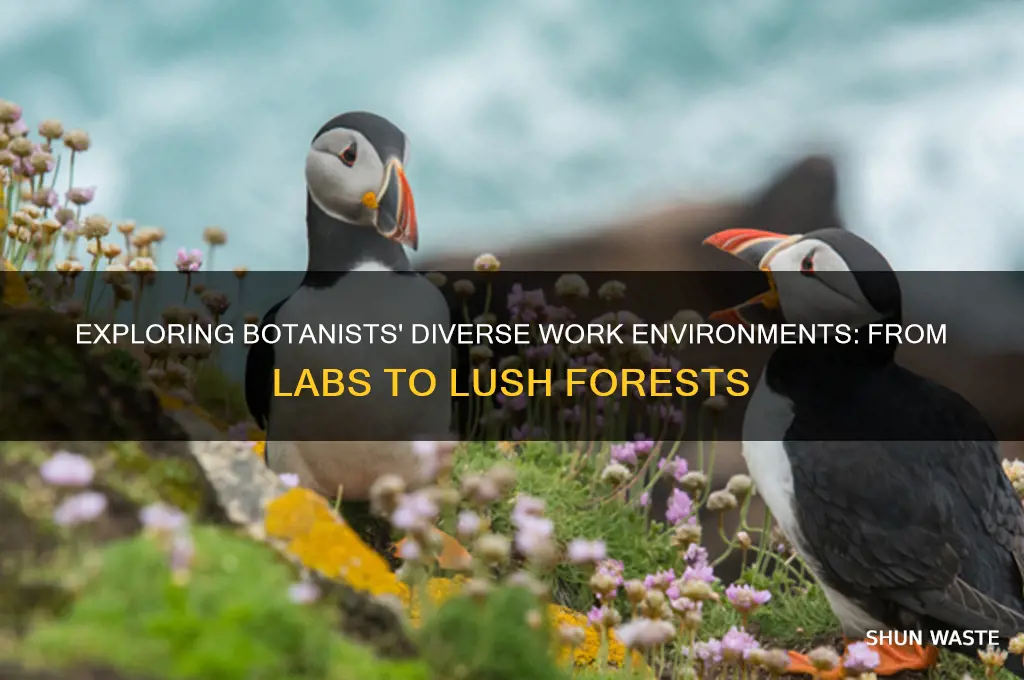 what type of environment do botanist work in