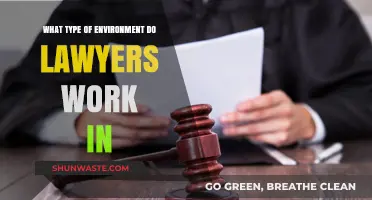 Exploring the Diverse Work Environments of Modern Legal Professionals