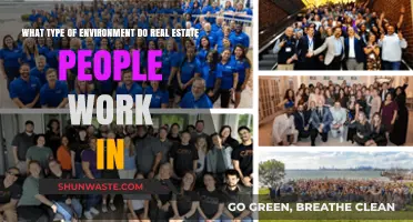 Exploring the Diverse Work Environments of Real Estate Professionals