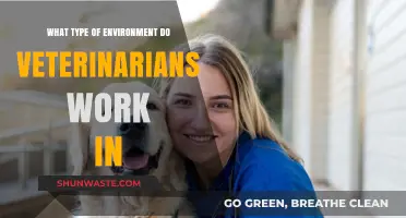 Exploring the Diverse Work Environments of Veterinarians: From Clinics to Farms