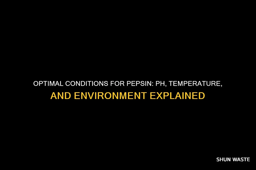 what type of environment does pepsin work best in