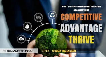 Cultivating Competitive Edge: The Optimal Environment for Organizational Success