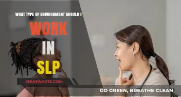 Choosing the Ideal Work Environment for Speech-Language Pathologists: A Guide