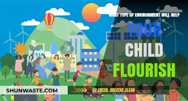 Creating the Ideal Environment for Your Child’s Growth and Success