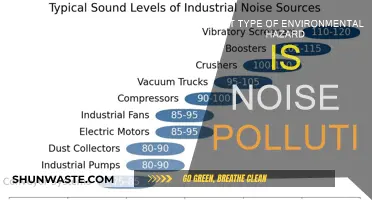 Noise Pollution: Understanding Its Environmental Impact