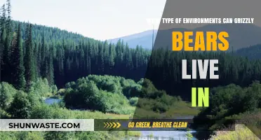 Grizzly Bears' Habitat Diversity: Exploring Their Adaptable Living Environments