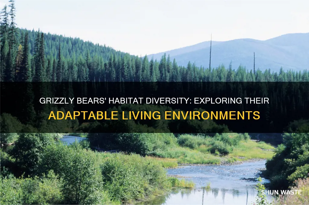 what type of environments can grizzly bears live in