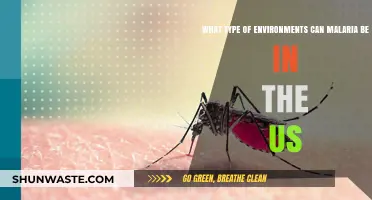 Malaria's Presence: Exploring US Environments Where It Can Thrive