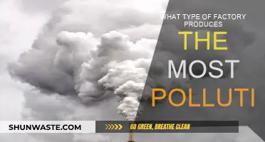Industrial Pollution: Factories with the Most Environmental Impact