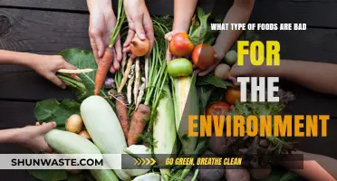 Eco-Unfriendly Eats: Foods Harming Our Planet and Why They Matter