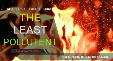 Greenest Fuels: Which Power Source Produces Fewest Pollutants?