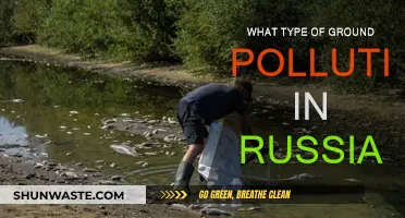 Russia's Soil Pollution: Toxic Legacy