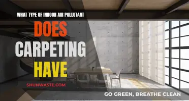 Carpeting and Indoor Air Quality: What's Hiding in Your Floors?