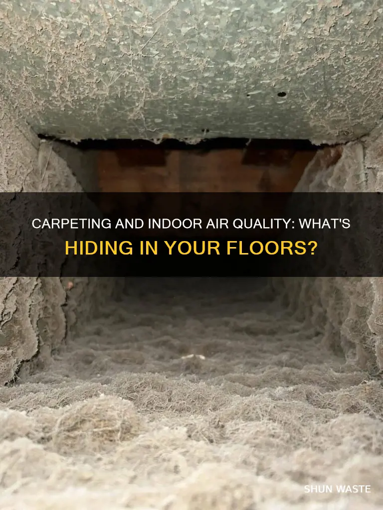 what type of indoor air pollutant does carpeting have