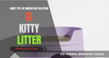 Kitty Litter: Understanding Indoor Air Pollution Risks