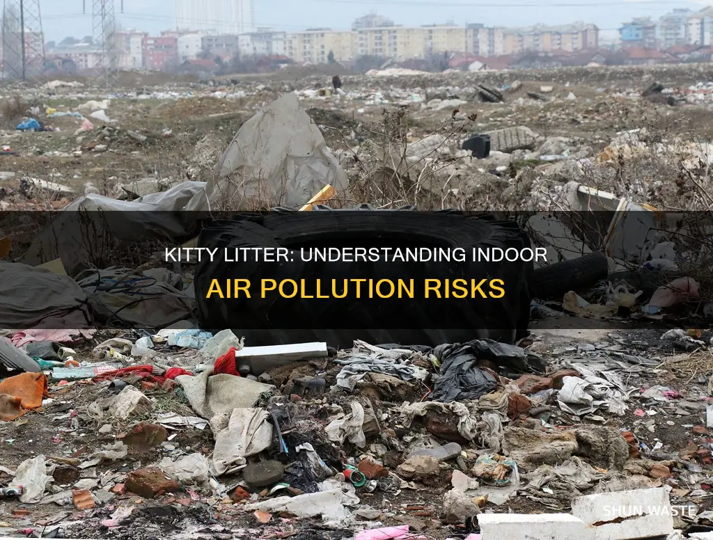 what type of indoor air pollution is kitty litter