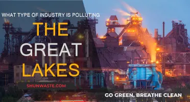 Great Lakes Pollution: Which Industries are the Worst Offenders?