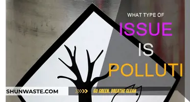 Pollution: A Global Crisis and Its Challenges