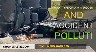 Sudden Pollution Incidents: What the Law Says