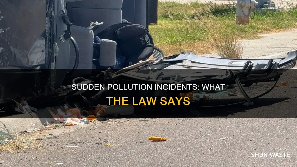 what type of law is sudden and accidental pollution