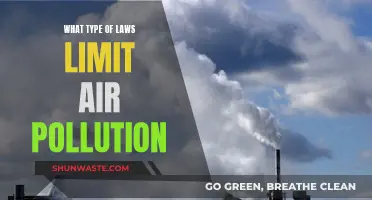 Air Pollution Laws: Breathing Easier
