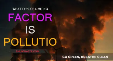 Pollution's Impact: Understanding Limiting Factors and Their Consequences