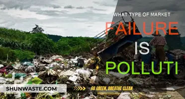 Pollution's Impact: Market Failure Analysis