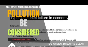 Air Pollution: A Negative Externality Market Failure