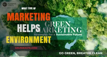 Eco-Friendly Marketing Strategies: How Businesses Can Promote Sustainability
