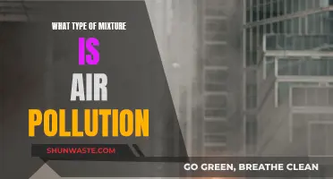 Air Pollution: A Complex Mixture of Gases and Particles