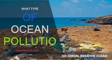 Ocean Pollution: Understanding the Different Types