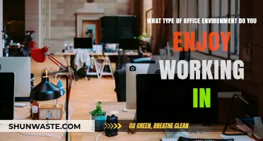 Crafting Productivity: My Ideal Office Environment for Focus and Collaboration