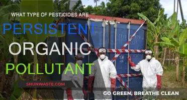 Understanding Persistent Organic Pollutants in Pesticides