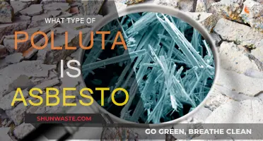 Asbestos: A Hazardous Air Pollutant and Health Risk