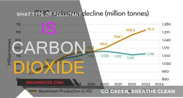 Carbon Dioxide: Understanding Its Pollutant Nature